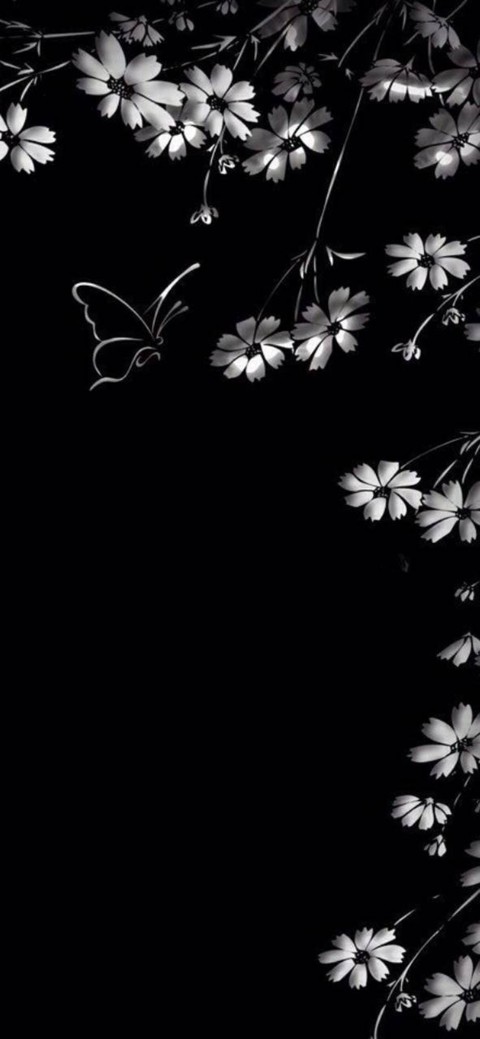 butterfly, black-and-white桌布