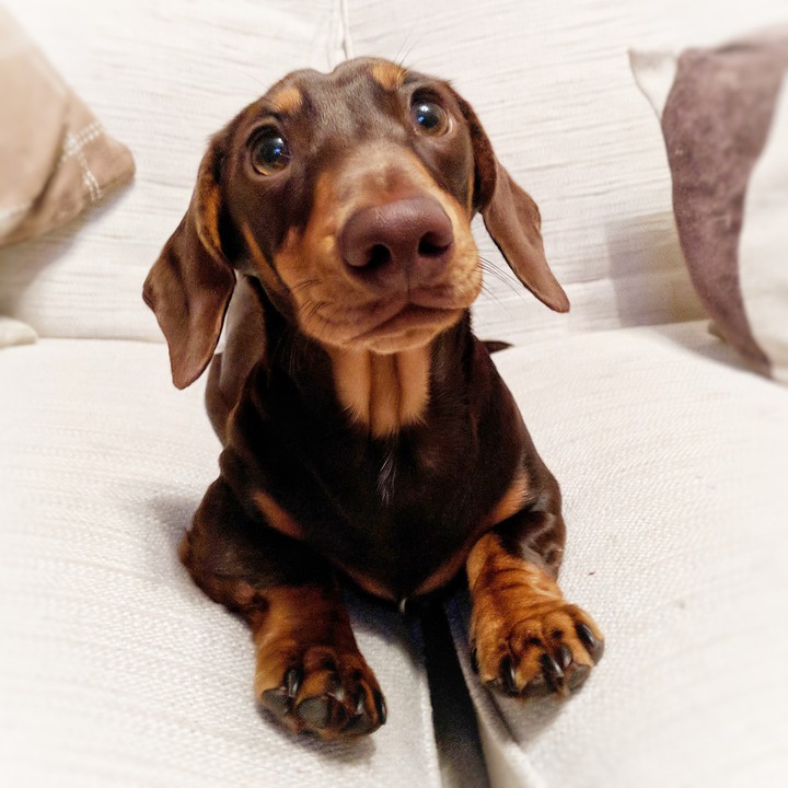 oh hi