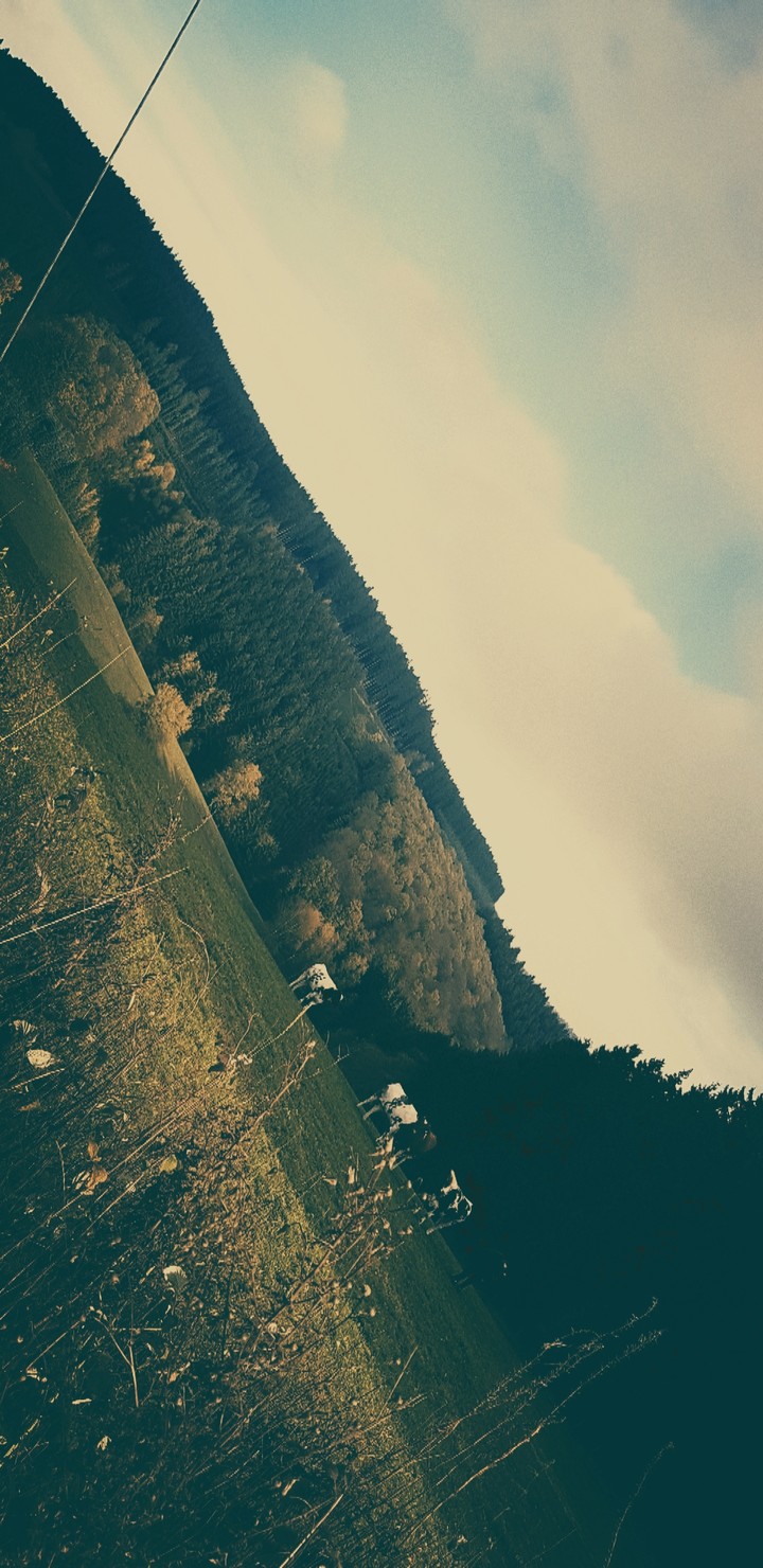 Mountain Nature