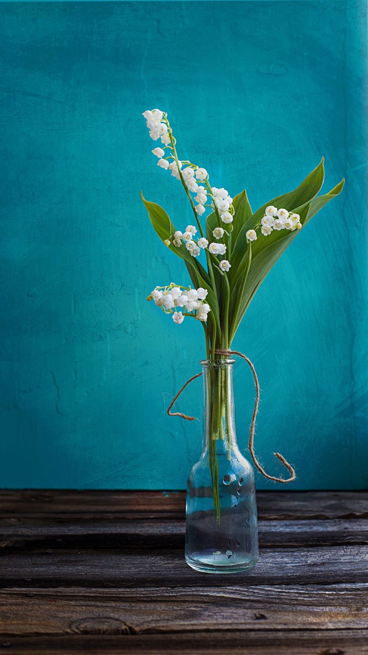 Flowers in a Vase