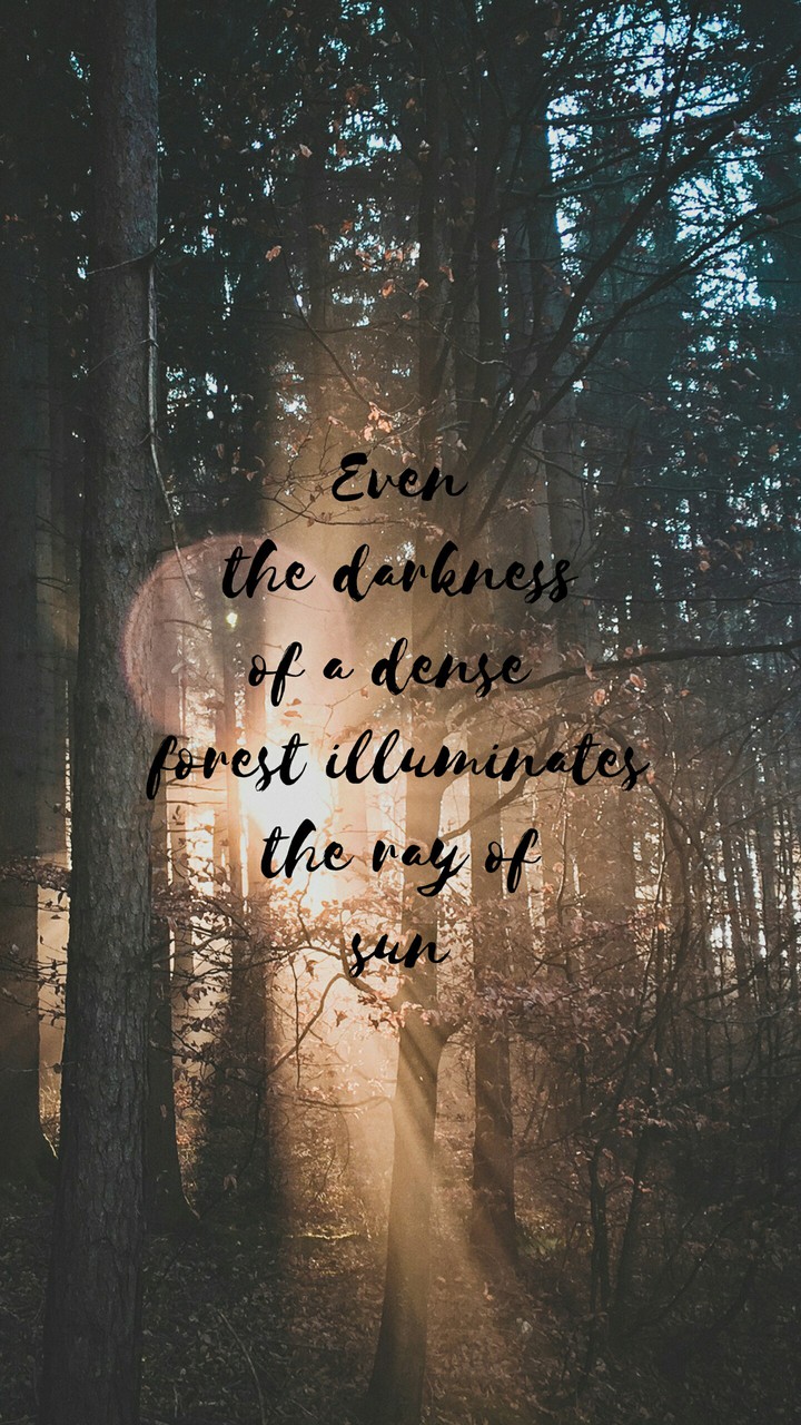 Quotes