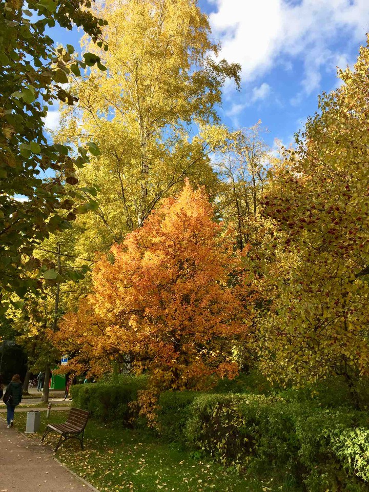autumn