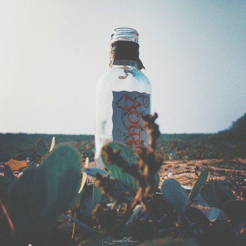 bottle