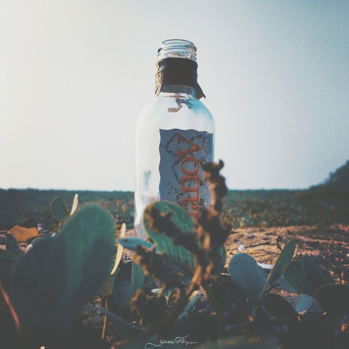 bottle