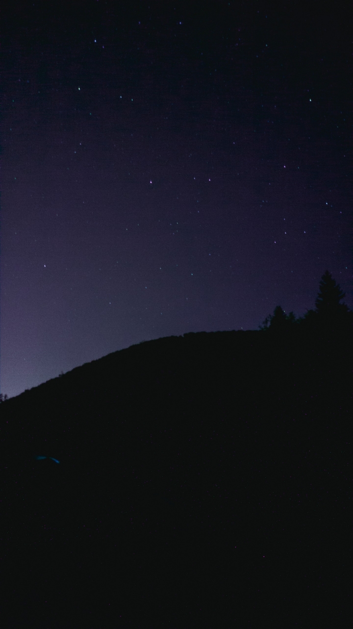 Night