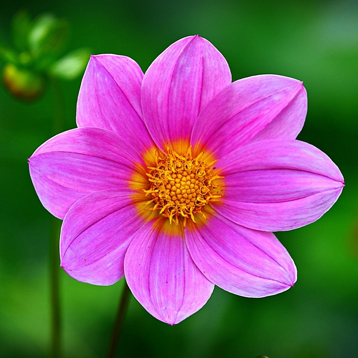 Have great day!