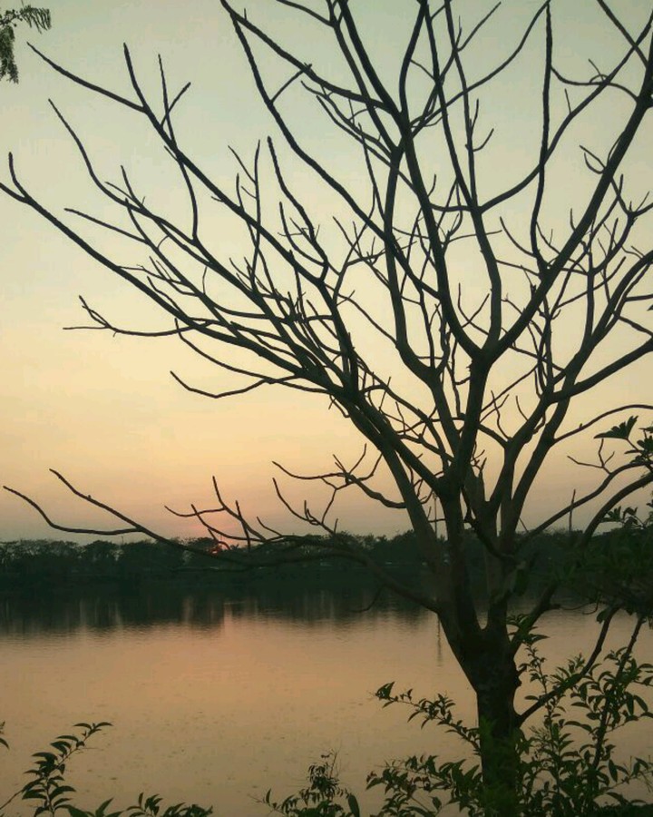 Sunset scenery