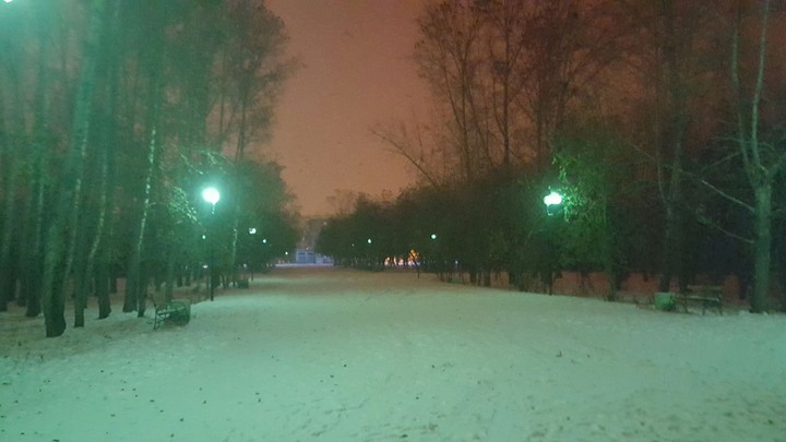 park