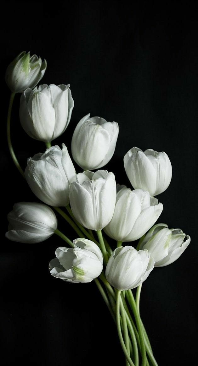 Negro y blanco.