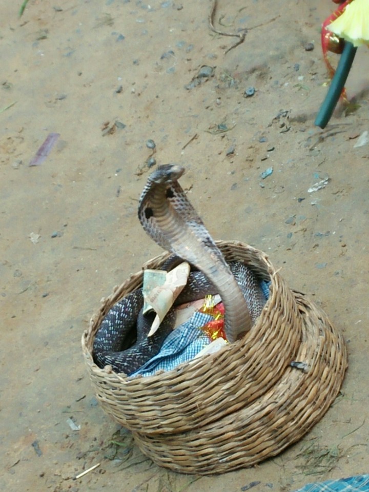 Lord Shiva's Throats