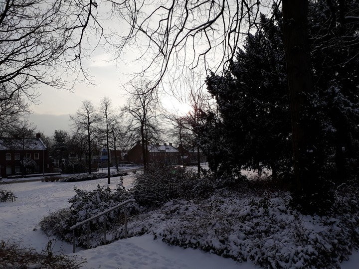 snow park 2