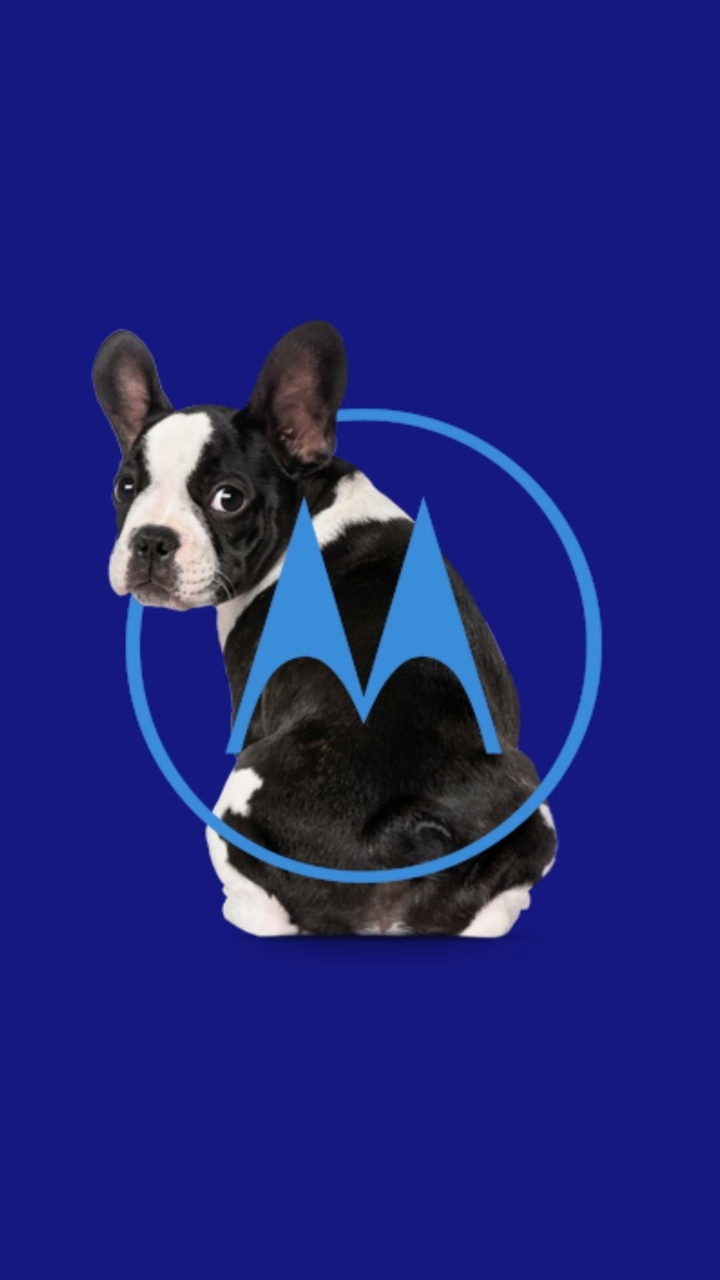 moto logo