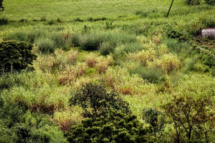 colors of Monsoon