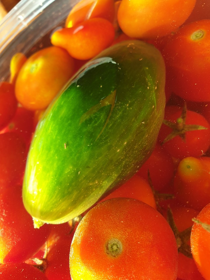 tomato and cucumber