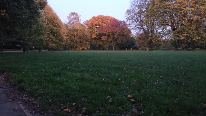 autumn