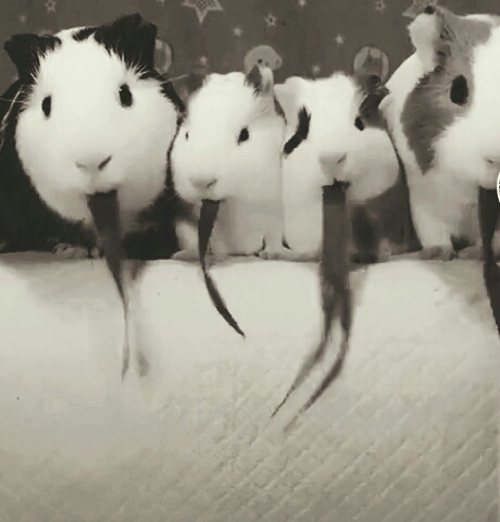 :))