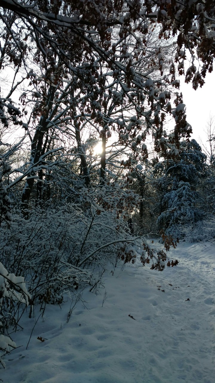 Lake Wazee Park
