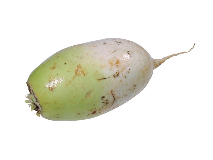 음식이미지