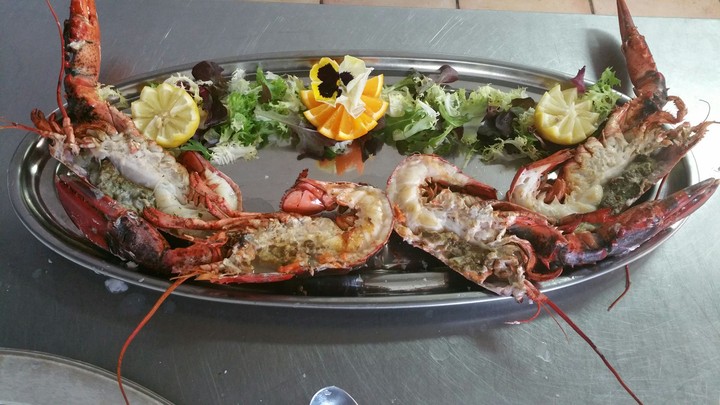 langostas