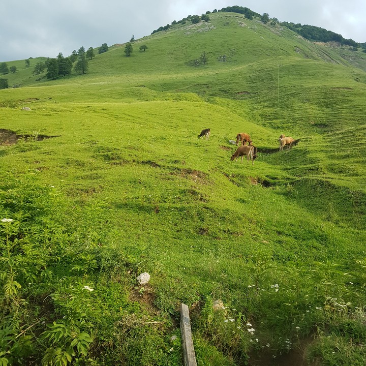 beautiful nature