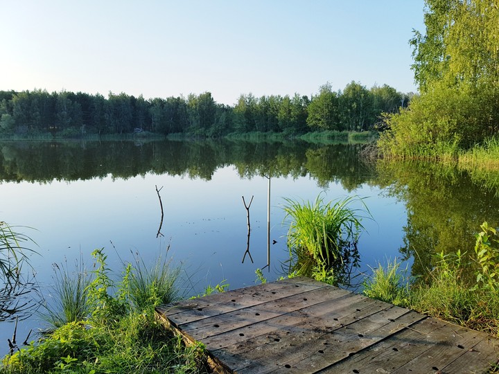 умиротворение