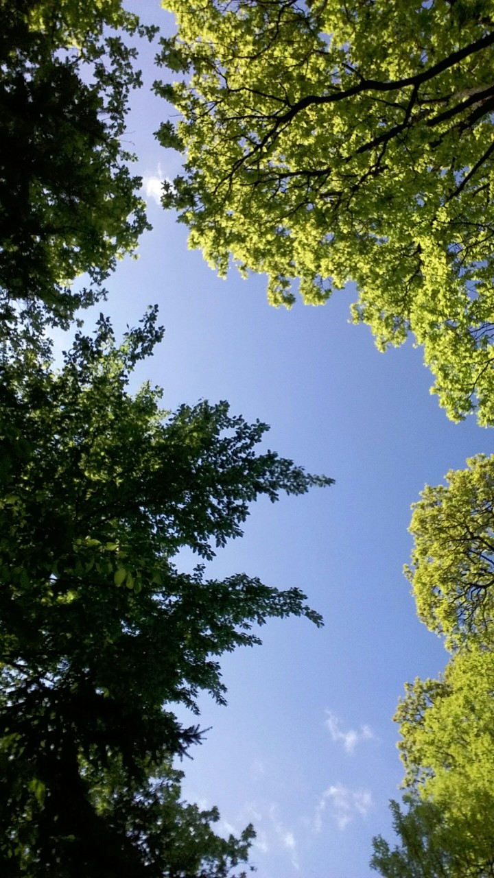 Sky is not the limit