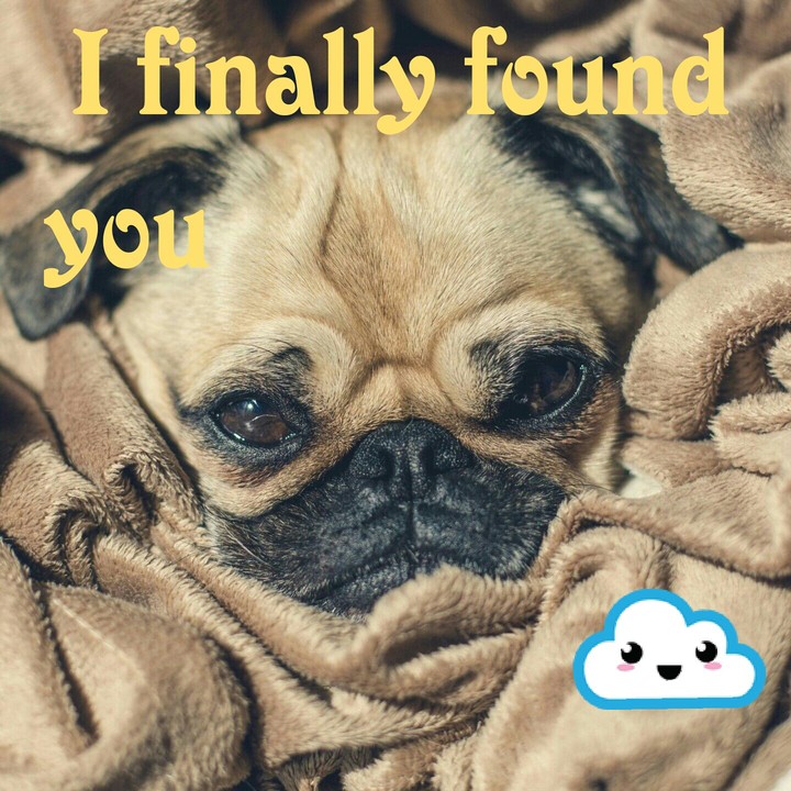 camouflage