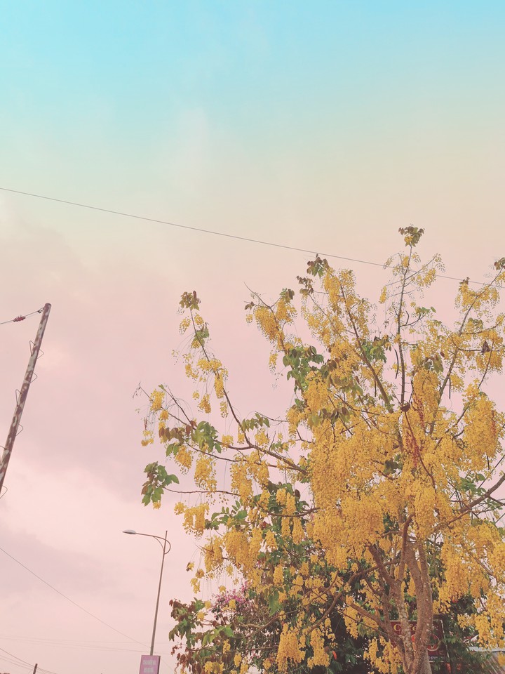 Love sky