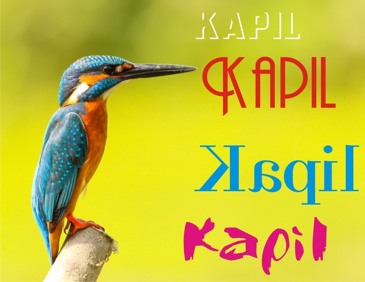 Kapil
