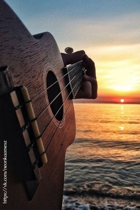 guitar