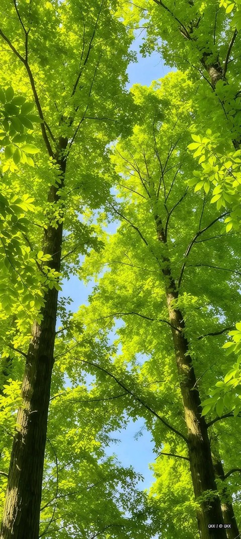 hình nền Yellow, nature