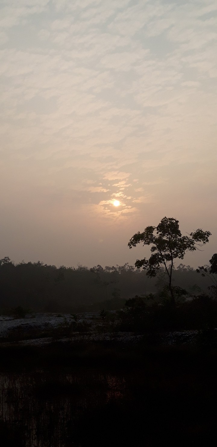 Pagi