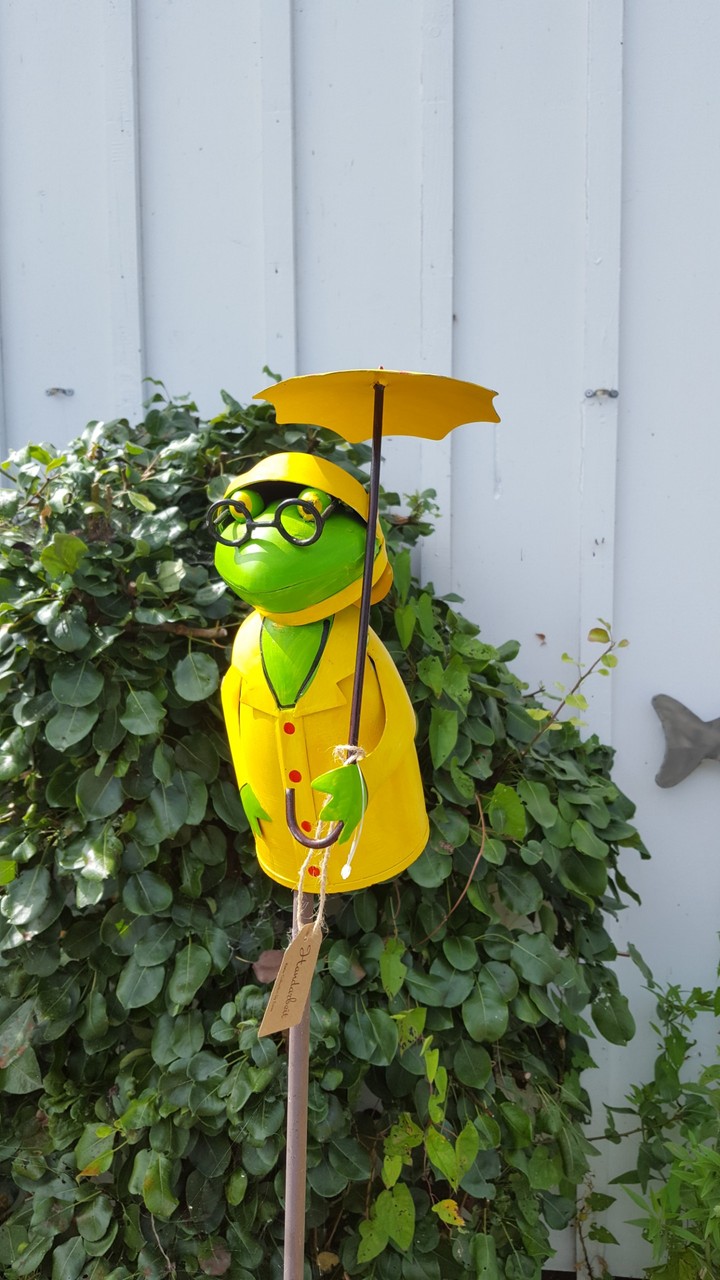frog