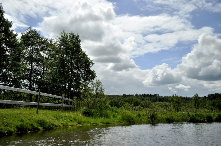 Lake and forest
