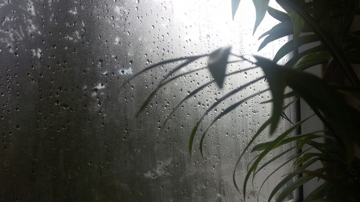 window