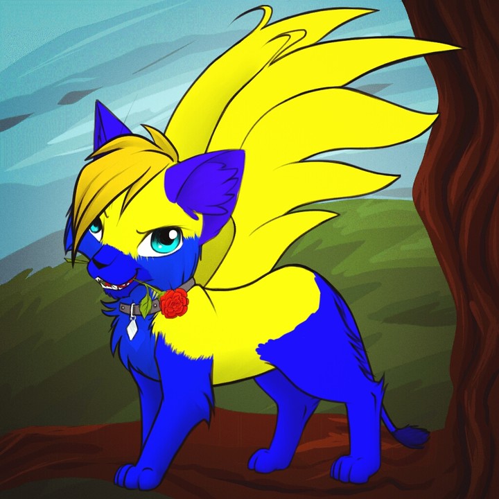 handsome avatar cat