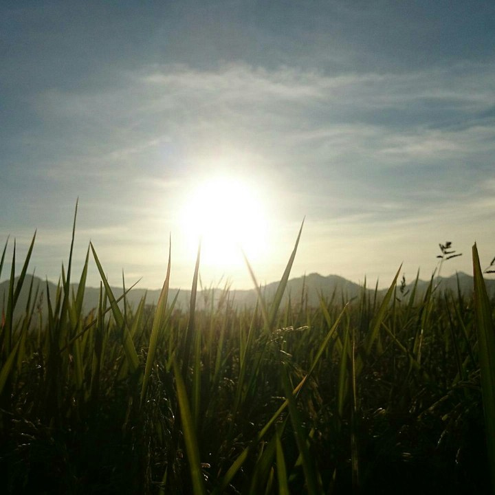 sun rise