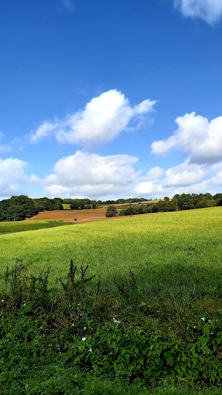 paysage breton
