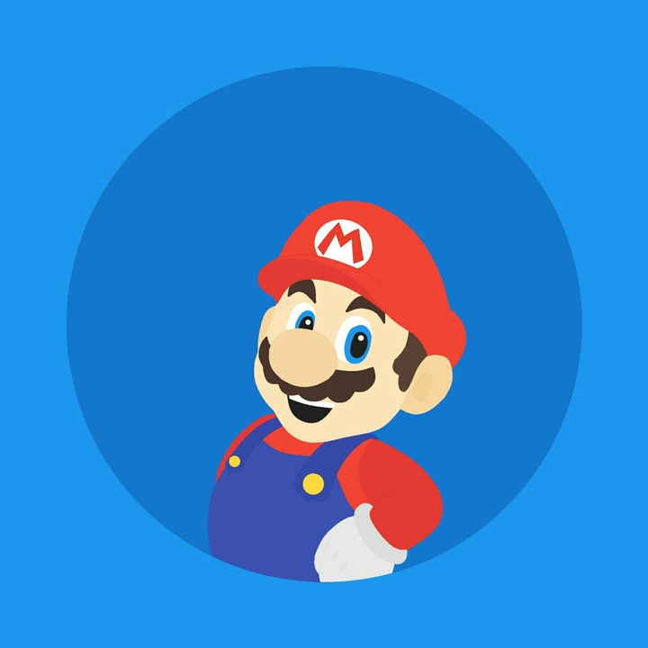 Mario   Bro 