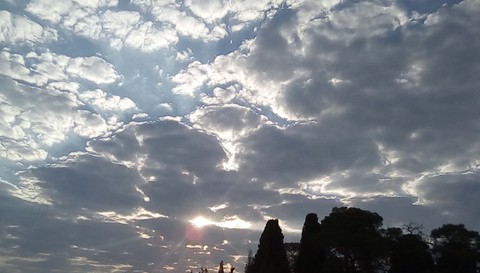 Like a painting