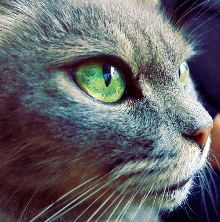 sguardo intenso