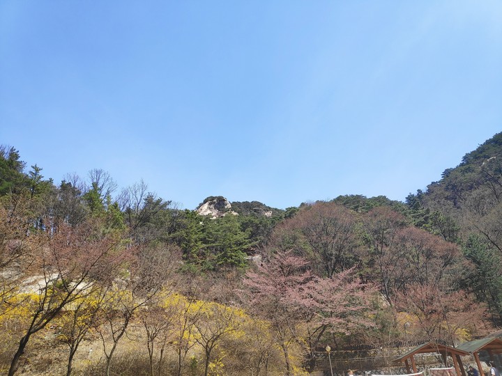 봄봄봄~