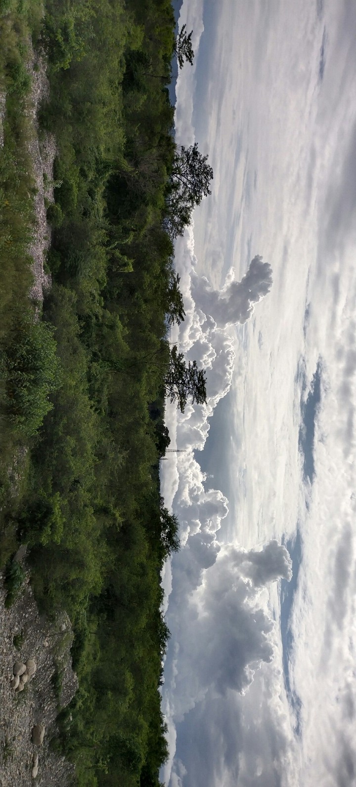love nature
