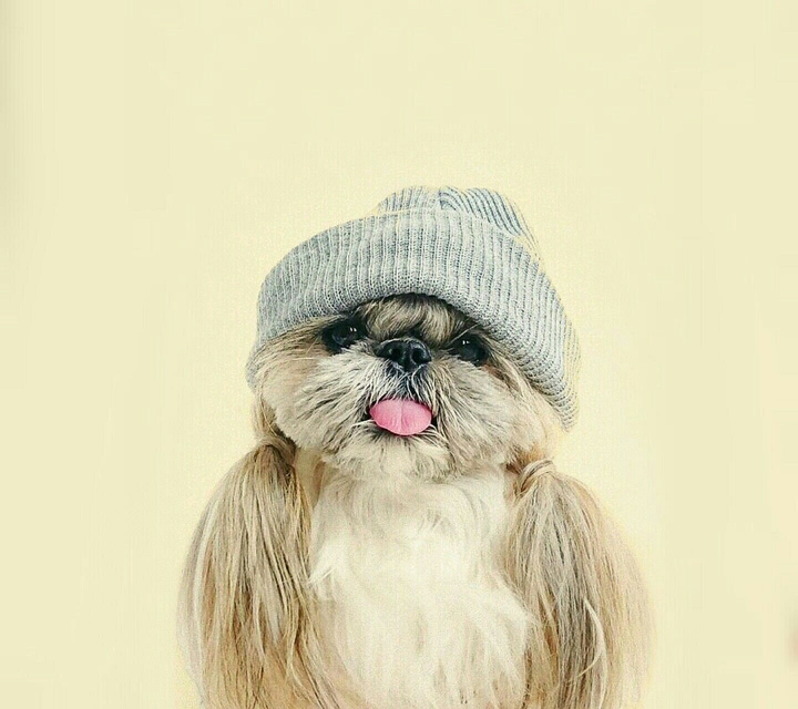 so cute:-)