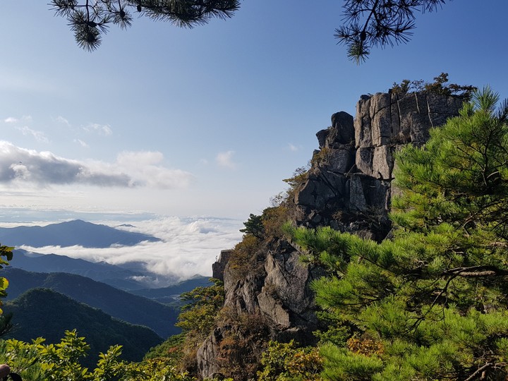 산