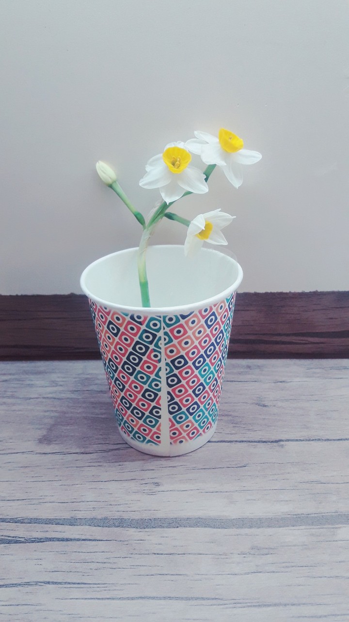 نرگس.                            #flower