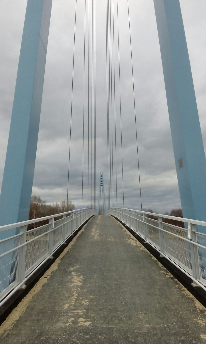 Bridge