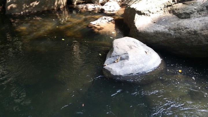 Pure lake