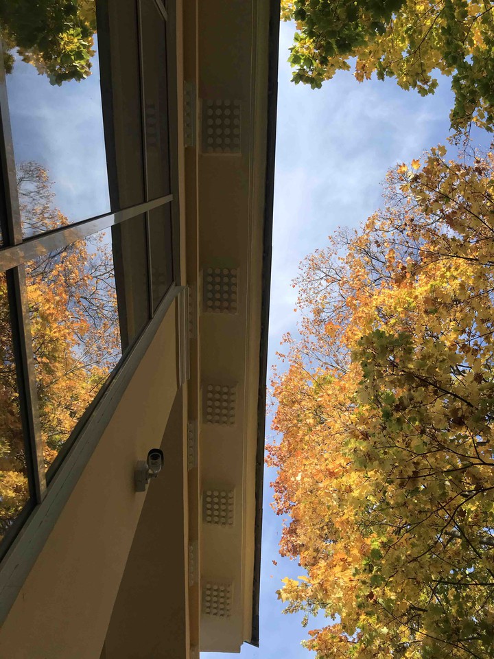 fall