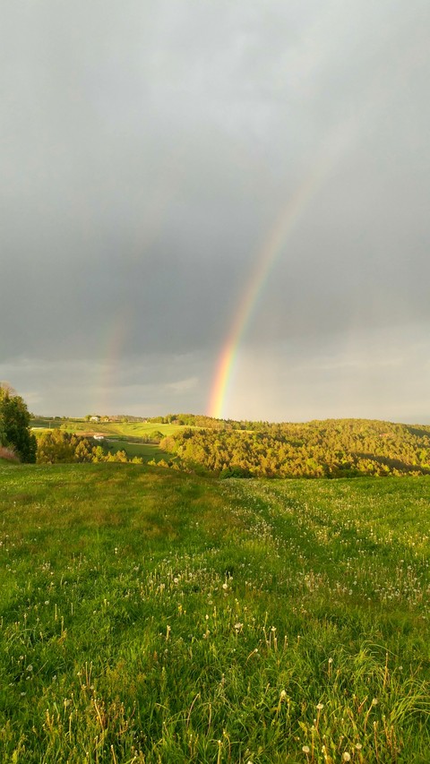 Rainbow